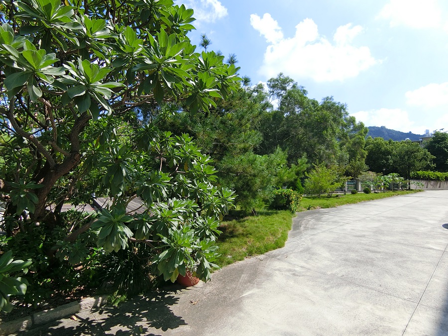廠區週邊